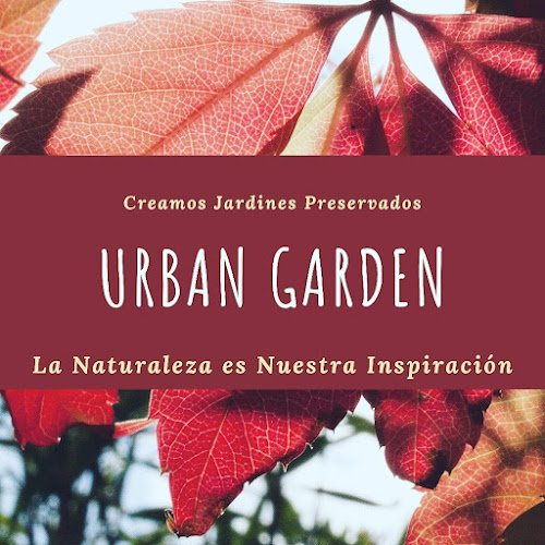 URBAN-GARDEN-Ecosistemas-Verticales
