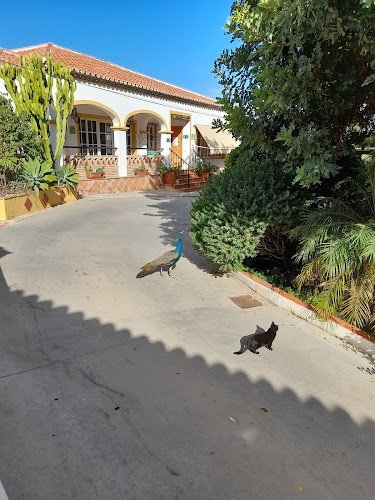 Centro Residencial Juan González