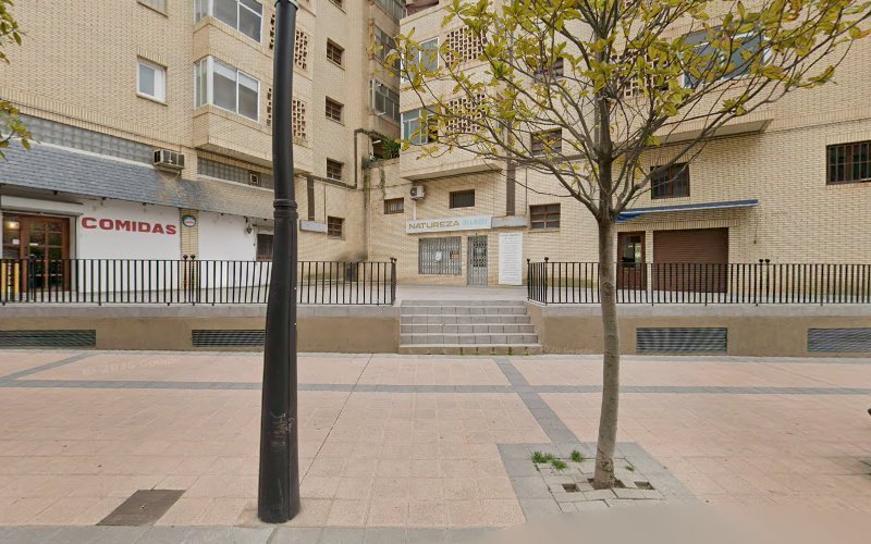 Fundación Servicio de ayuda Sanesval