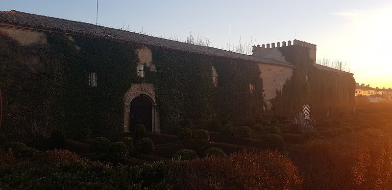 Residencia El Olmo