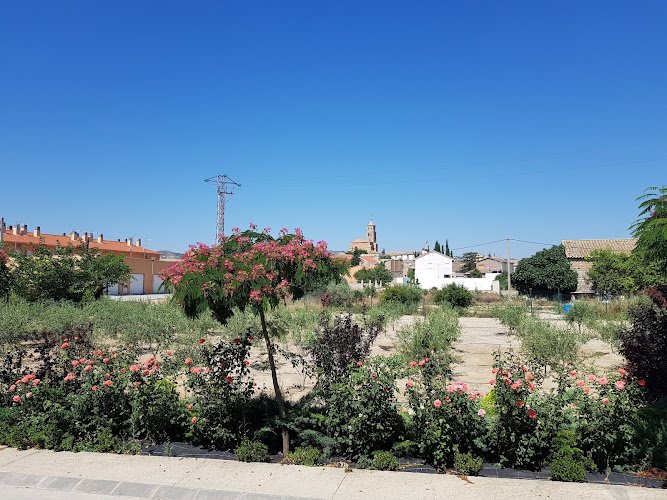 Residencia Geriátrica Alcubierre