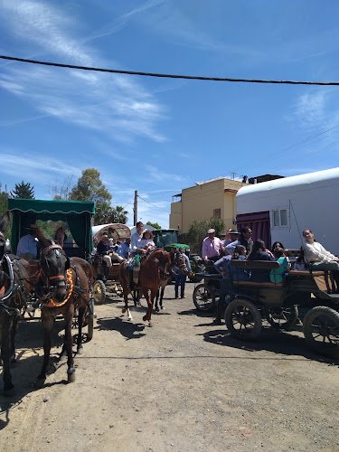 Residencia y unidad de día de Mayores El Recreo