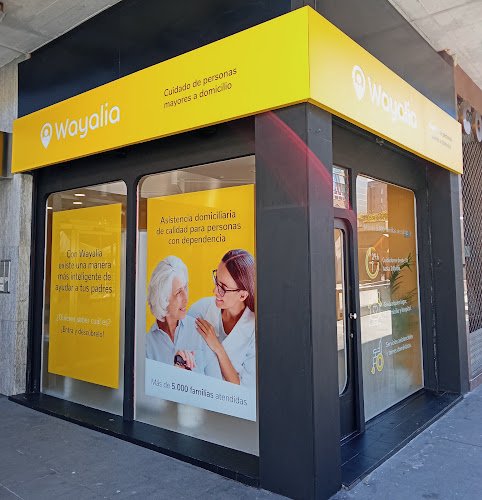 Wayalia Pamplona (Ayuda a Domicilio)